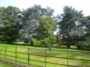 #1 Batsford Arboretum 